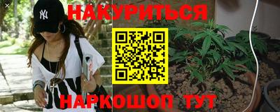 прущие крисы Вязьма