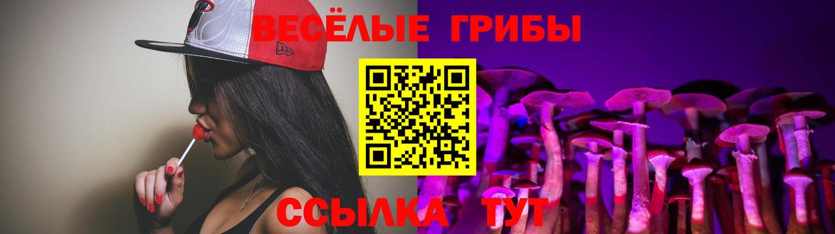 Галлюциногенные грибы Psilocybe Дербент